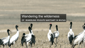 Bumdeling Wildlife Sanctuary